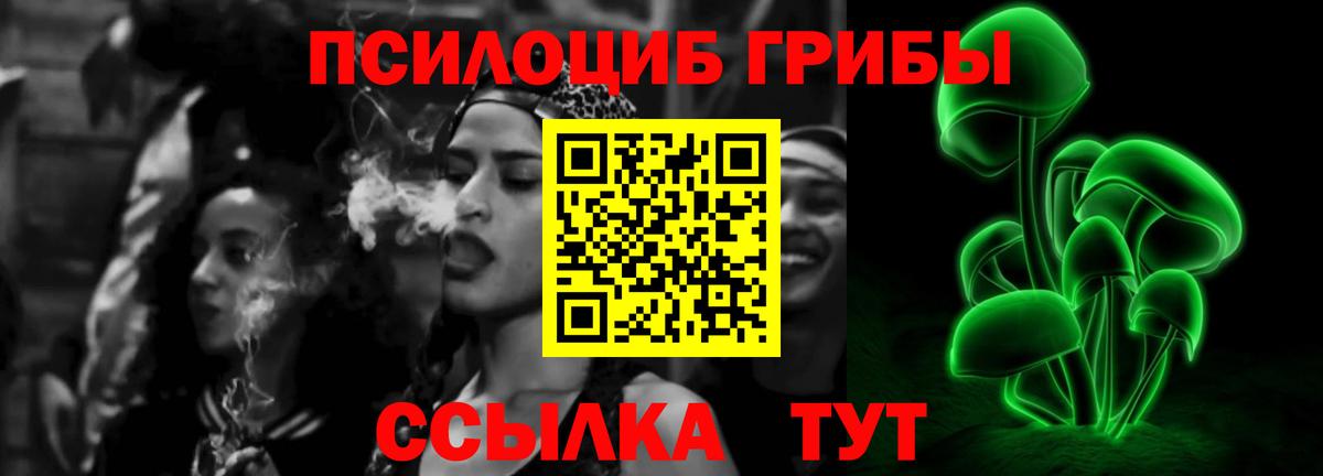 Мирный  Галлюциногенные грибы Magic Shrooms  Вход с VPN  Псилоцибиновые грибы Cubensis 